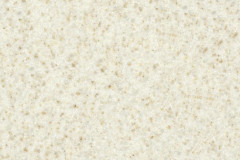 GAM-004-SANDFLOWER