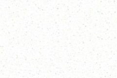 T-089-VOCALISE