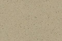 T-243-BROWN-COOKIE
