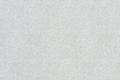 2369 РАКУШКИ