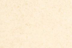 N-642-Aspen-Seashell