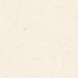 Seashell-AS642