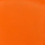 California-Poppy-SC052