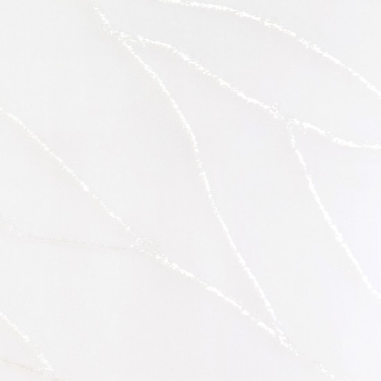 Read more about the article VENATO